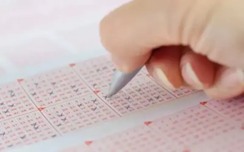 nagaland lottery result morning​​​ at JoyMall App body image