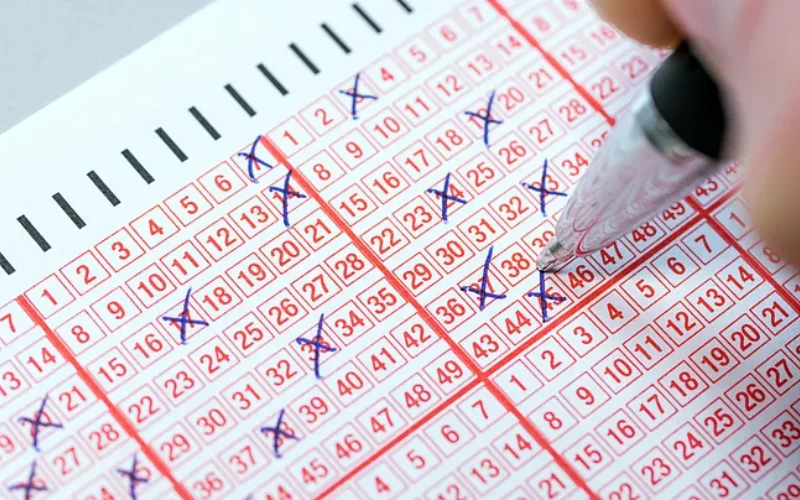 nagaland lottery result morning​​​ at JoyMall App featured image